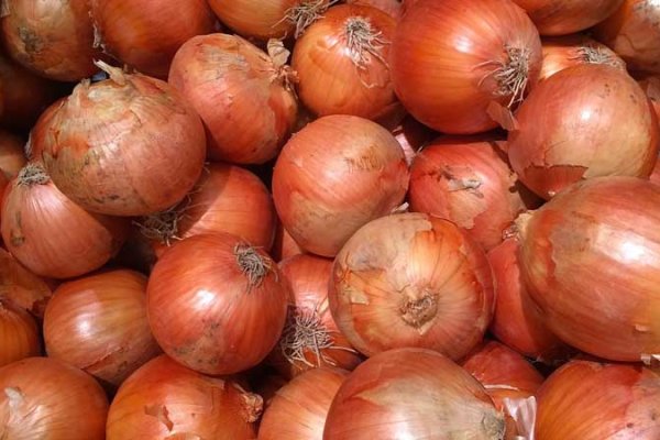 Kraken onion зеркало