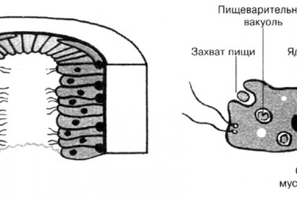 Кракен 2kmp